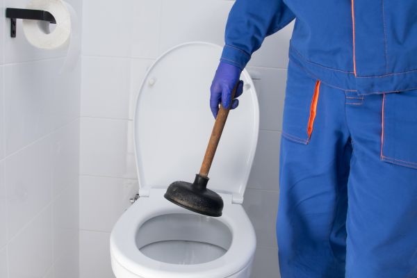 Toilet Blockage Removal